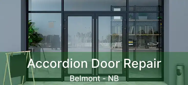  Accordion Door Repair Belmont - NB