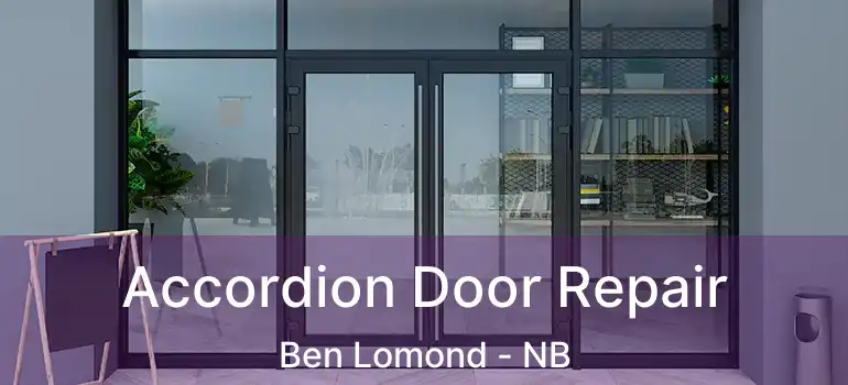 Accordion Door Repair Ben Lomond - NB