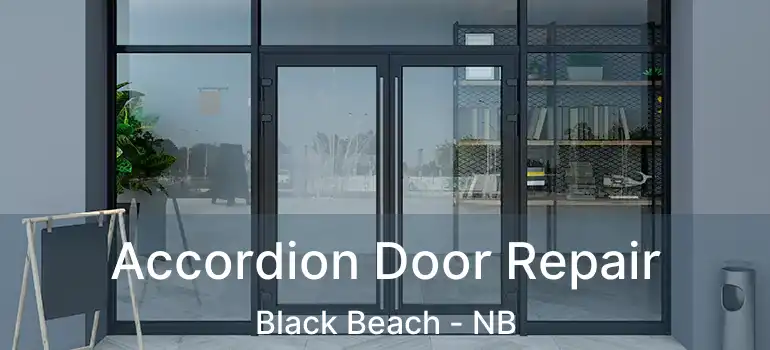  Accordion Door Repair Black Beach - NB