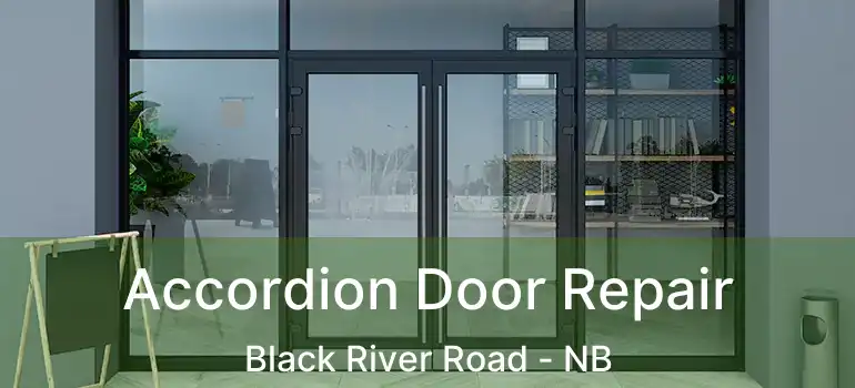  Accordion Door Repair Black River Road - NB