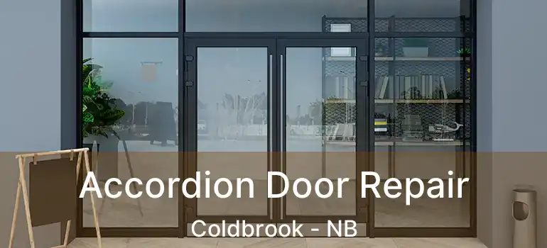  Accordion Door Repair Coldbrook - NB