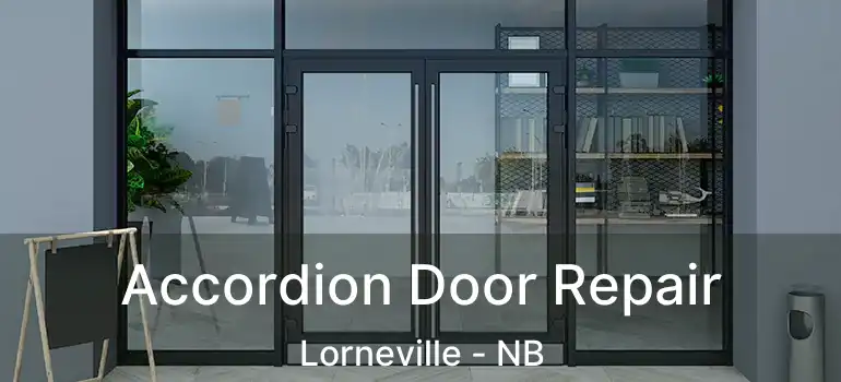  Accordion Door Repair Lorneville - NB