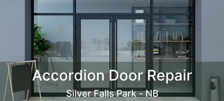  Accordion Door Repair Silver Falls Park - NB