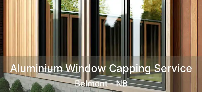  Aluminium Window Capping Service Belmont - NB