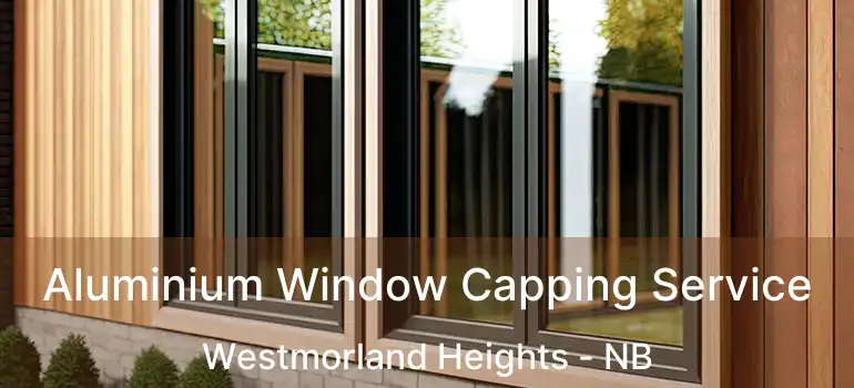  Aluminium Window Capping Service Westmorland Heights - NB