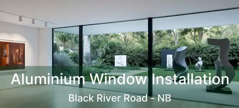  Aluminium Window Installation Black River Road - NB