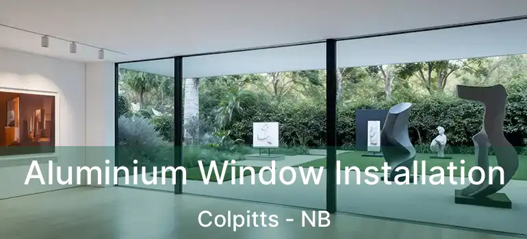  Aluminium Window Installation Colpitts - NB