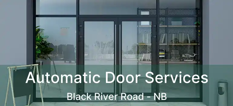  Automatic Door Services Black River Road - NB
