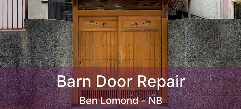  Barn Door Repair Ben Lomond - NB