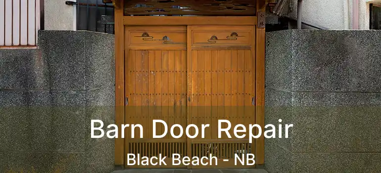  Barn Door Repair Black Beach - NB