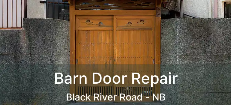  Barn Door Repair Black River Road - NB