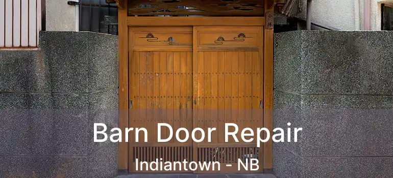  Barn Door Repair Indiantown - NB