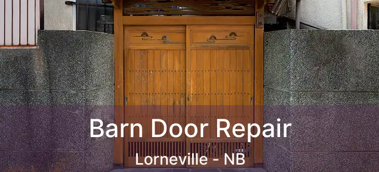  Barn Door Repair Lorneville - NB