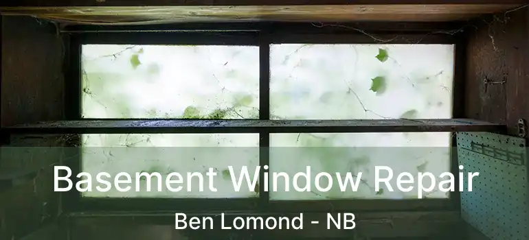  Basement Window Repair Ben Lomond - NB