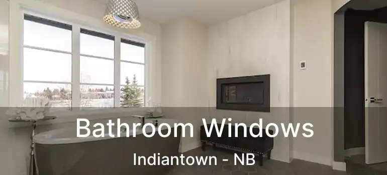  Bathroom Windows Indiantown - NB