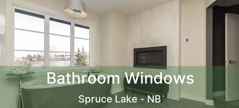 Bathroom Windows Spruce Lake - NB