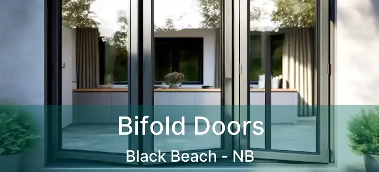  Bifold Doors Black Beach - NB