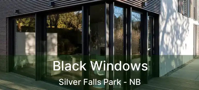  Black Windows Silver Falls Park - NB