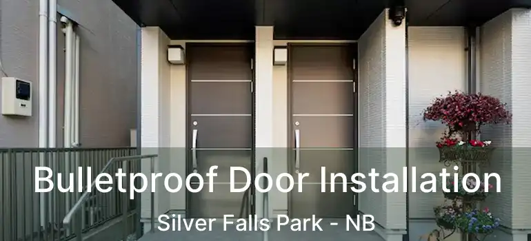  Bulletproof Door Installation Silver Falls Park - NB