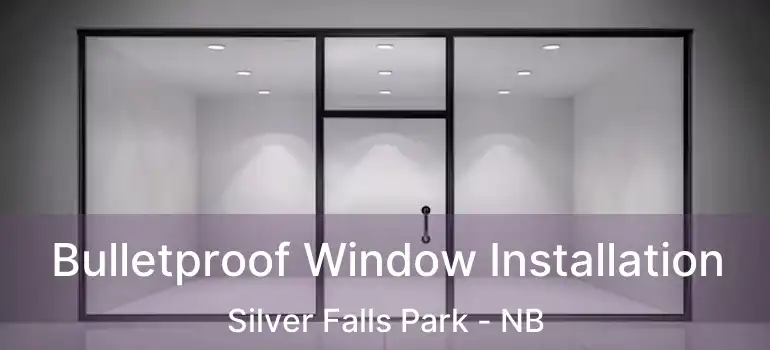  Bulletproof Window Installation Silver Falls Park - NB