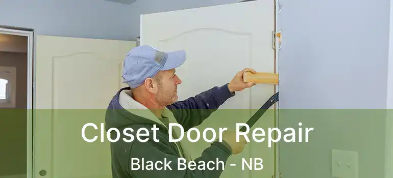  Closet Door Repair Black Beach - NB