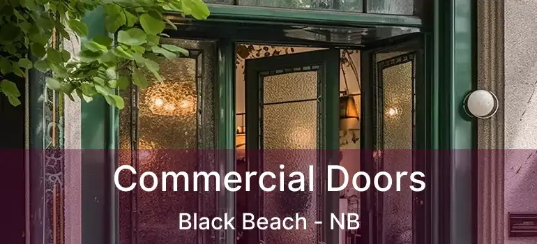  Commercial Doors Black Beach - NB