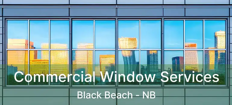  Commercial Window Services Black Beach - NB