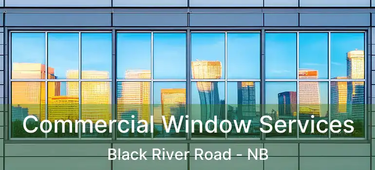  Commercial Window Services Black River Road - NB