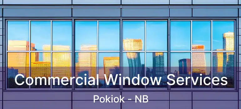  Commercial Window Services Pokiok - NB