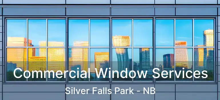  Commercial Window Services Silver Falls Park - NB