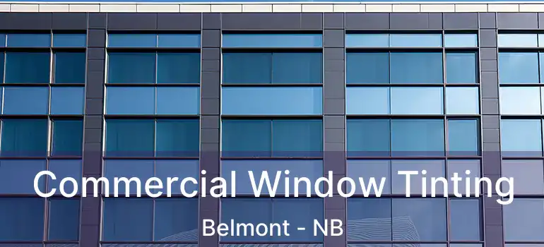  Commercial Window Tinting Belmont - NB