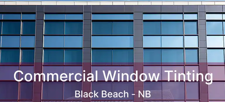 Commercial Window Tinting Black Beach - NB