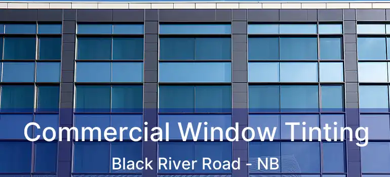  Commercial Window Tinting Black River Road - NB