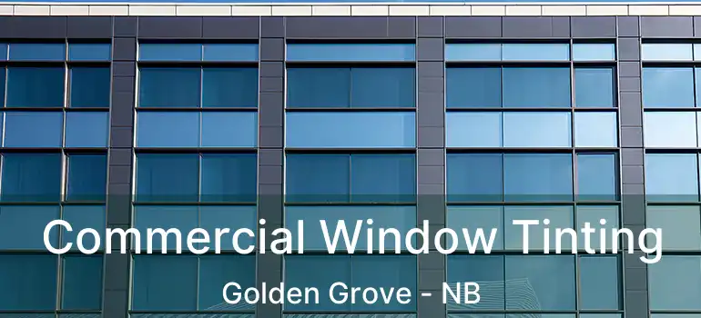  Commercial Window Tinting Golden Grove - NB