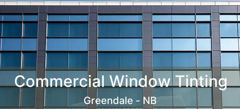  Commercial Window Tinting Greendale - NB