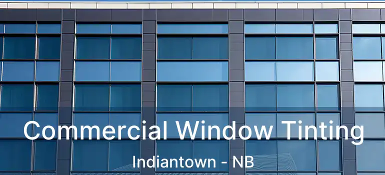  Commercial Window Tinting Indiantown - NB