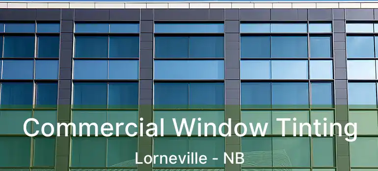  Commercial Window Tinting Lorneville - NB