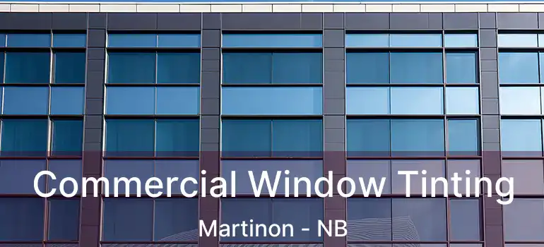  Commercial Window Tinting Martinon - NB