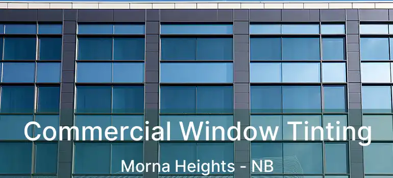  Commercial Window Tinting Morna Heights - NB