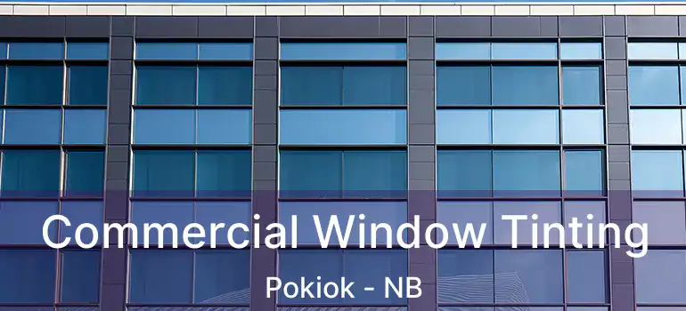  Commercial Window Tinting Pokiok - NB
