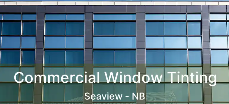  Commercial Window Tinting Seaview - NB