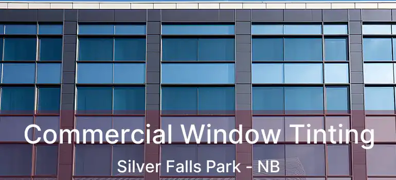  Commercial Window Tinting Silver Falls Park - NB