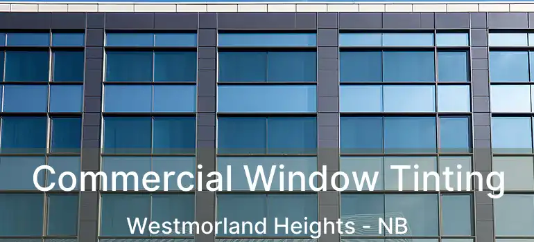  Commercial Window Tinting Westmorland Heights - NB