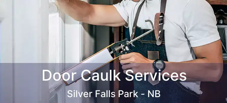  Door Caulk Services Silver Falls Park - NB
