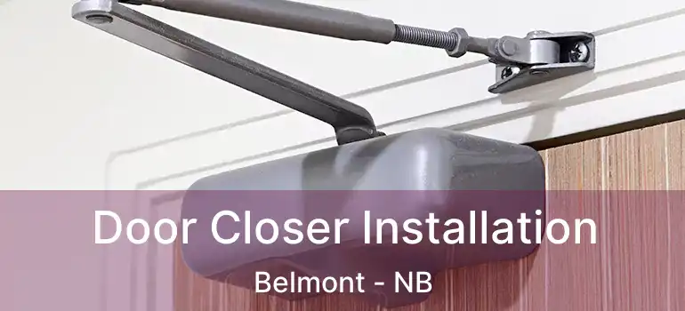  Door Closer Installation Belmont - NB