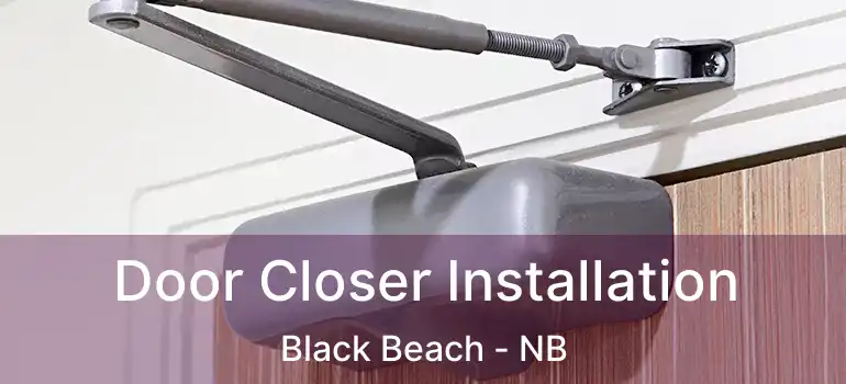  Door Closer Installation Black Beach - NB