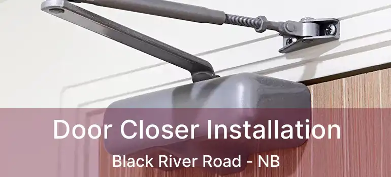  Door Closer Installation Black River Road - NB