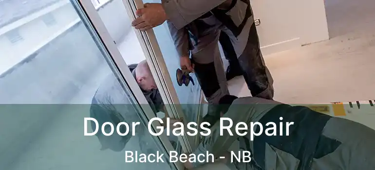  Door Glass Repair Black Beach - NB