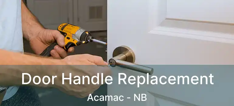  Door Handle Replacement Acamac - NB