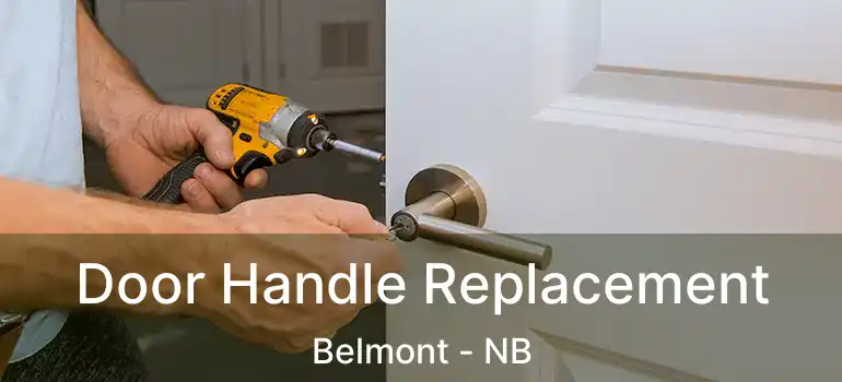  Door Handle Replacement Belmont - NB